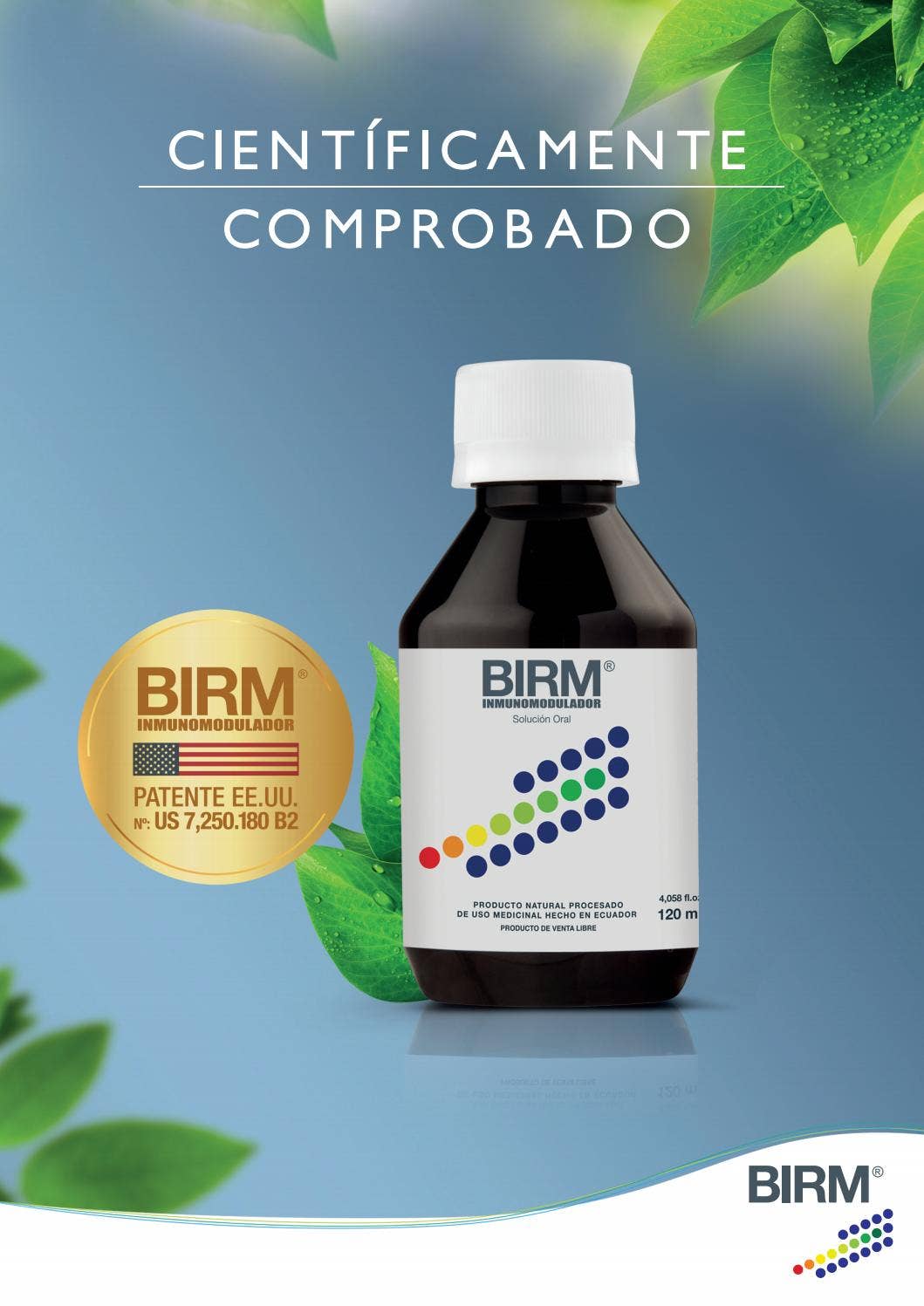 BIRM Estudios by BIRM - Issuu