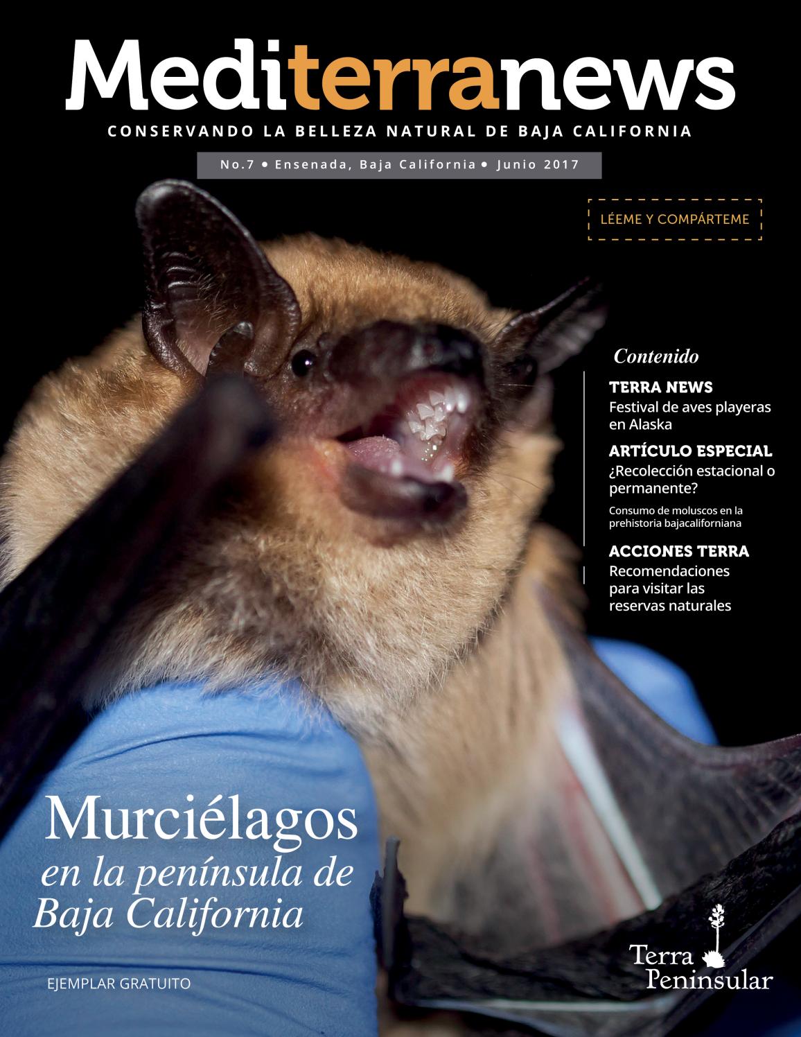 Número 7 Revista Mediterranews de Terra Peninsular by Terra