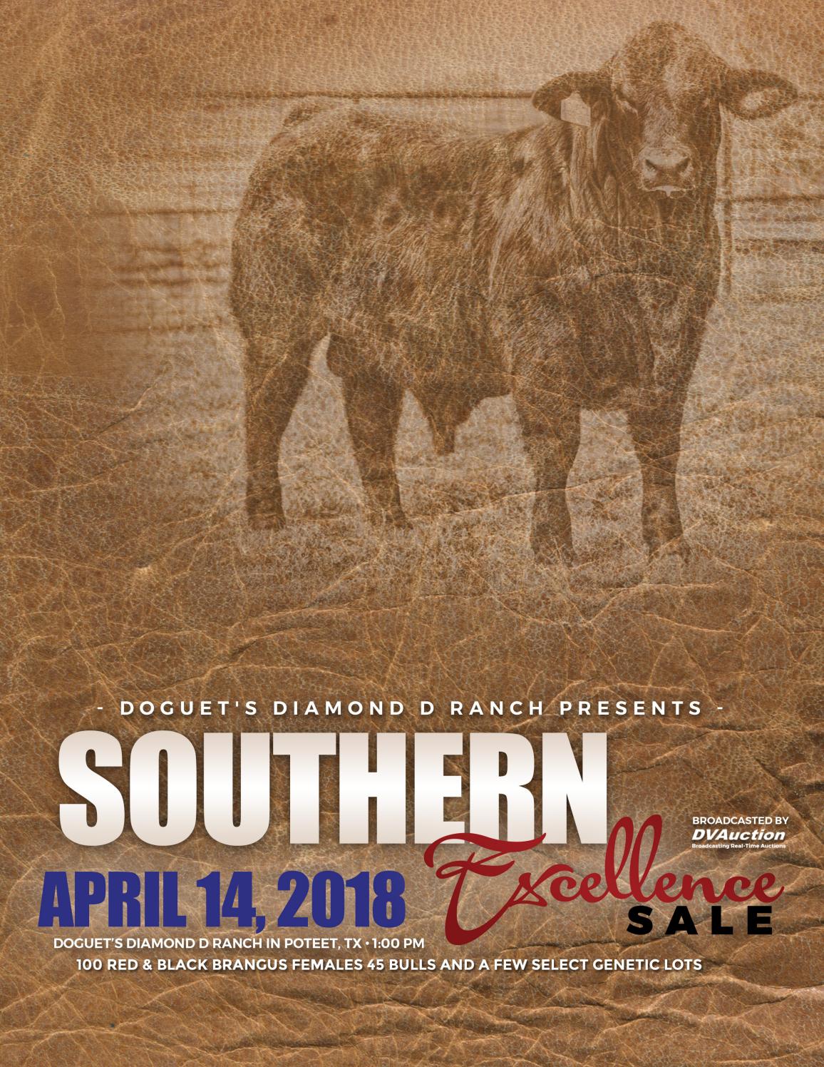 Southern Excellence Sale at Doguet's Diamond D Ranch by Garrett Thomas