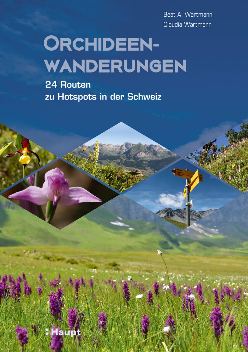 Wartmann Orchideenwanderungen By Haupt Verlag Issuu