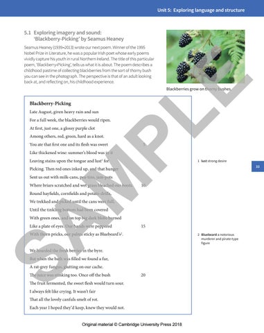 Preview Cambridge IGCSE and O Level Literature in English Coursebook by ...