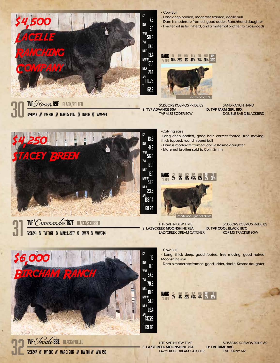 Paint Em Black 3rd Annual Bull Female Sale Results By Bohrson