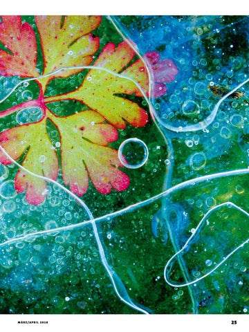 Fotomagazin Februar/März 2018 第 23 页