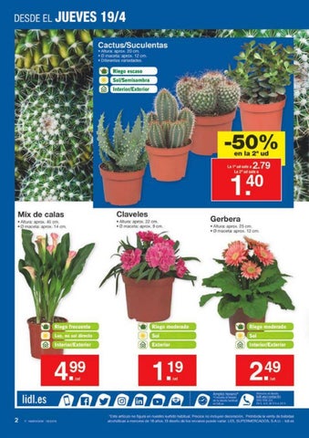 Ofertas Supermercados 家具目录 lidl bueno inteligente y al mejor precio 第 2 页