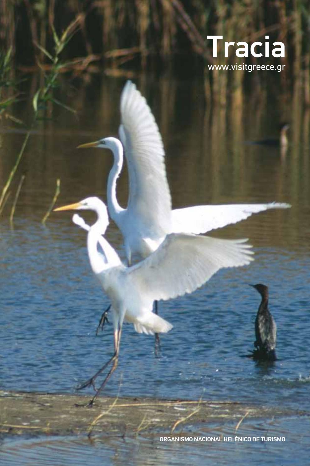 Thrace ESP by Visit Greece - Issuu