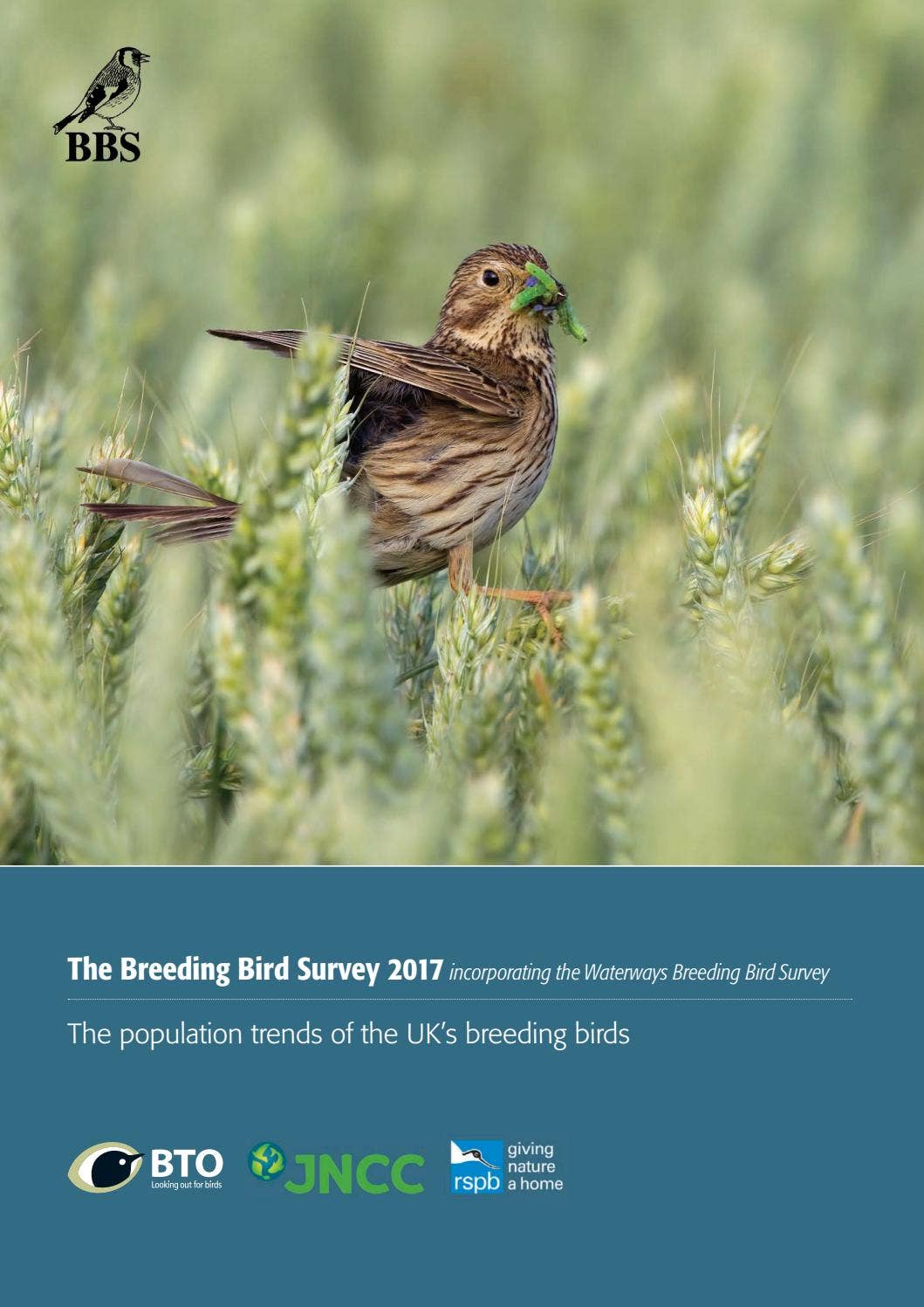 Breeding Bird Survey Report 2017 by British Trust for Ornithology - Issuu