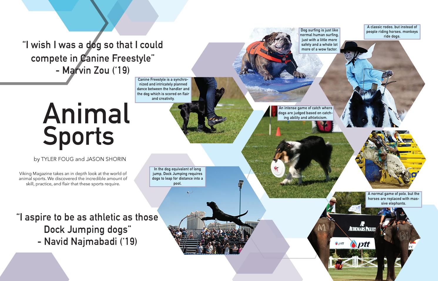 Viking Magazine Volume X Issue 5 By The Viking Magazine Issuu