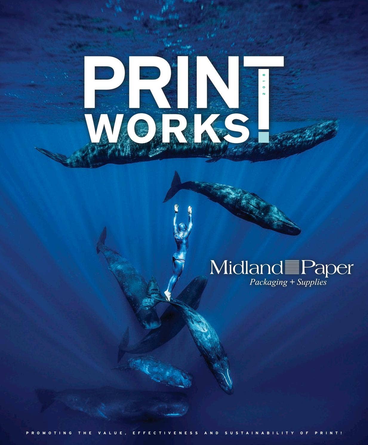 Print Works! 2018 (Midland Paper) by Surface & Panel Issuu