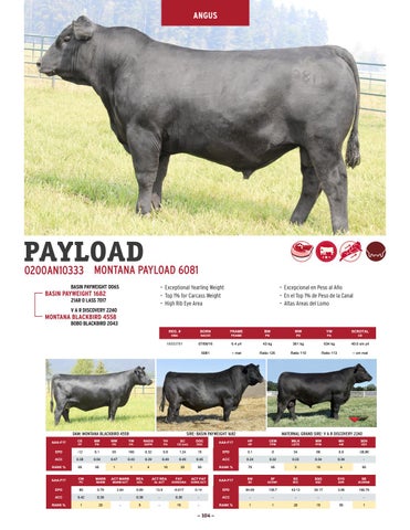 Semex Beef - 2018 Management Handbook - International by Semex - Issuu