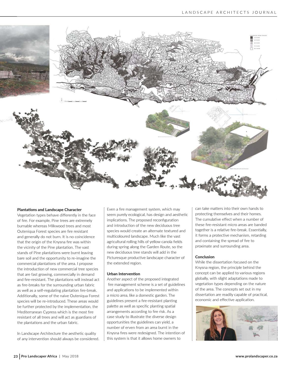 Professays custom essay writing