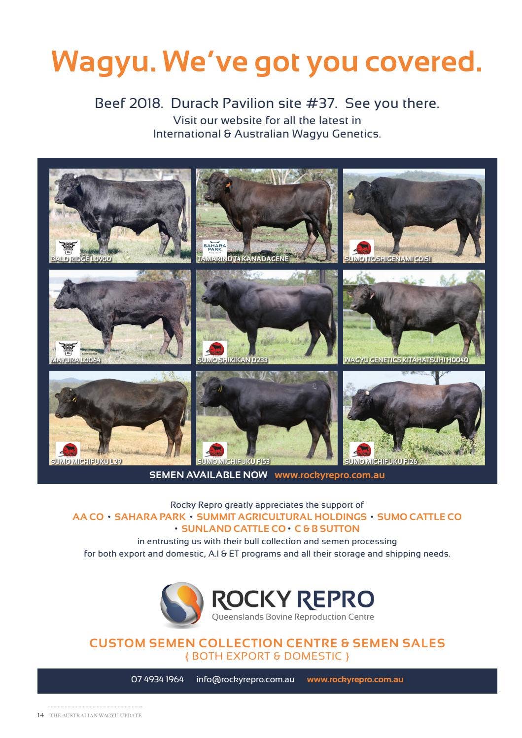 Australian Wagyu Update - issue 68 by Australian Wagyu Association - Issuu