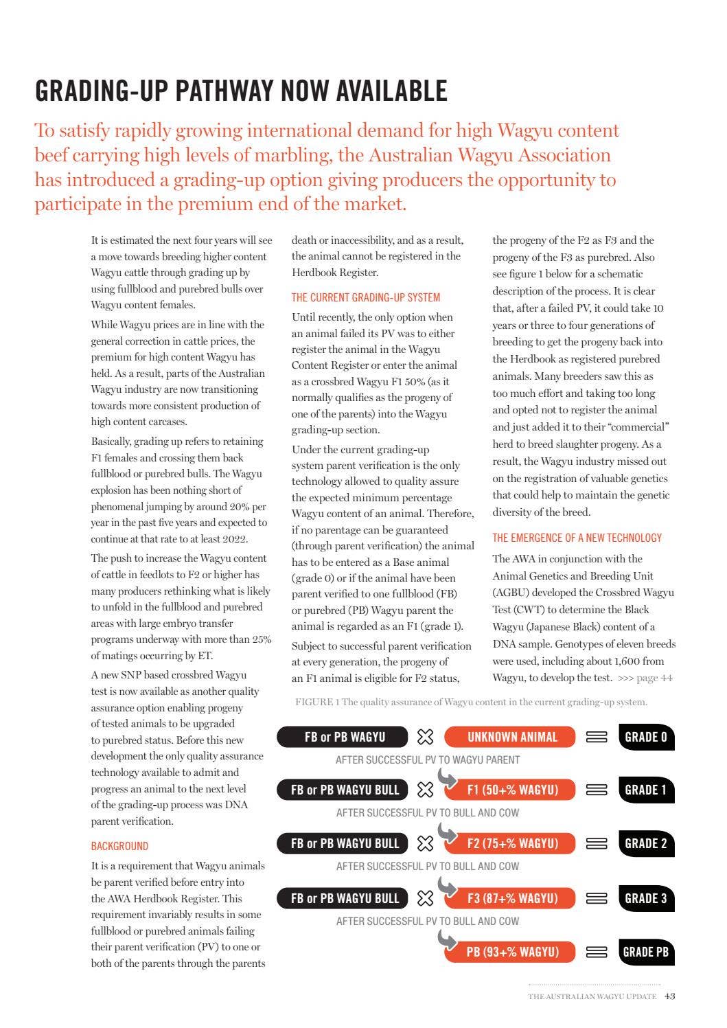 Australian Wagyu Update - issue 68 by Australian Wagyu Association - Issuu