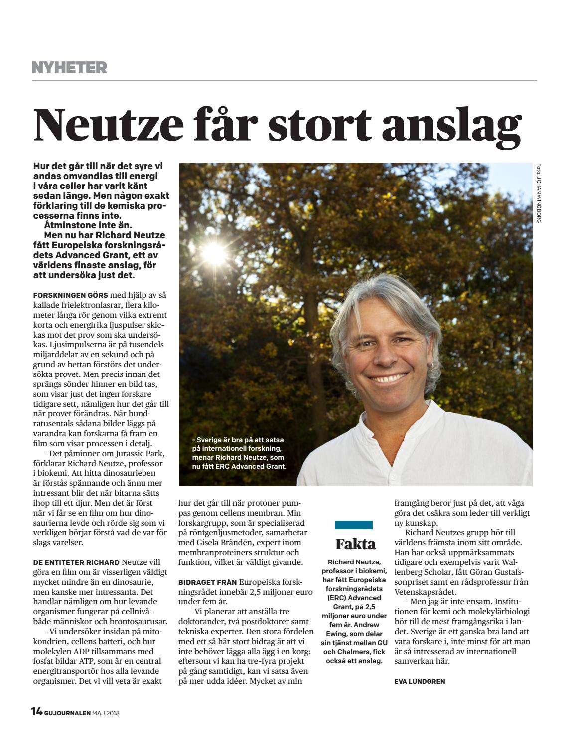 Stora entiteterna filmer