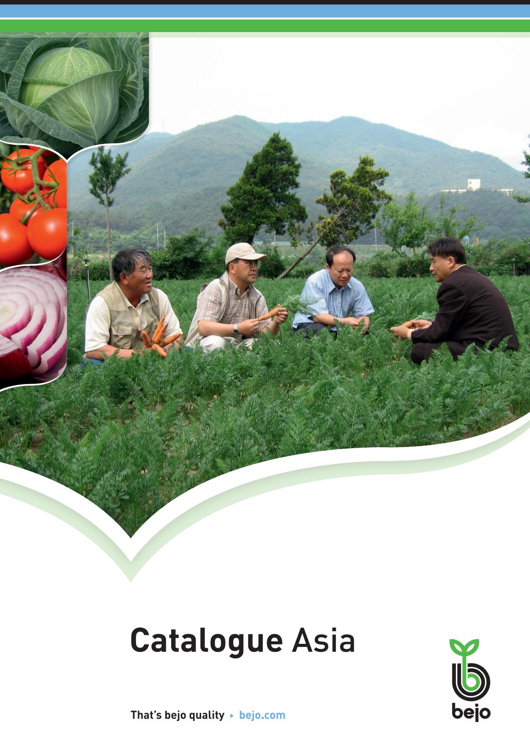 Bejo Catalogue South East Asia by Bejo Zaden Issuu