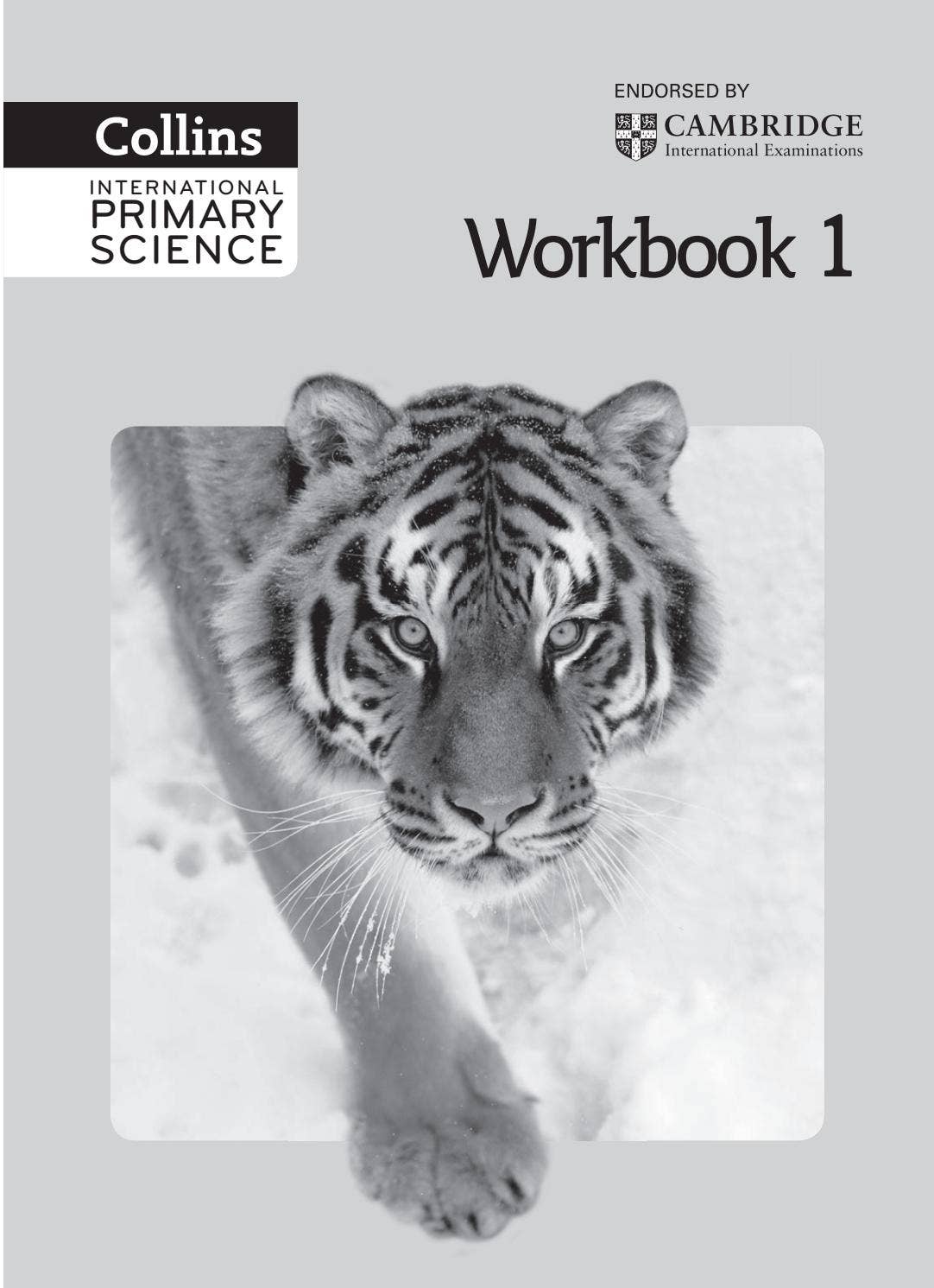 英語　Collins international primary science International Primary Science Student's Book: Stage 2