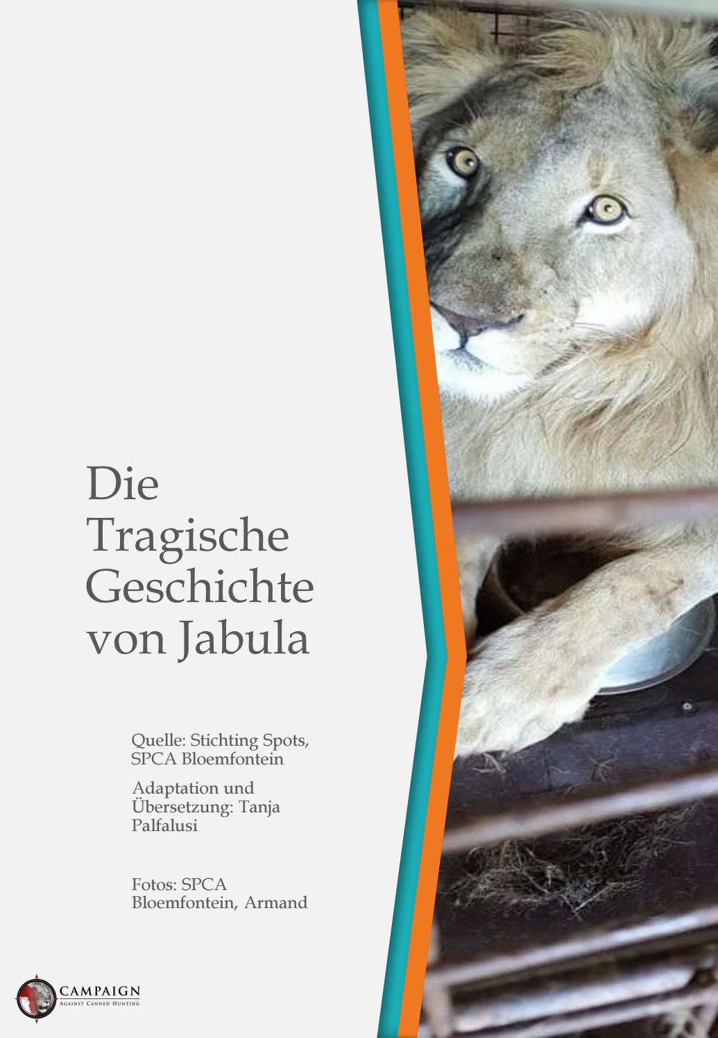 Bergsteigen: Die Tragische Geschichte Von Green Boots Und Anderen, Die Am Berg Starben. - dm90oye