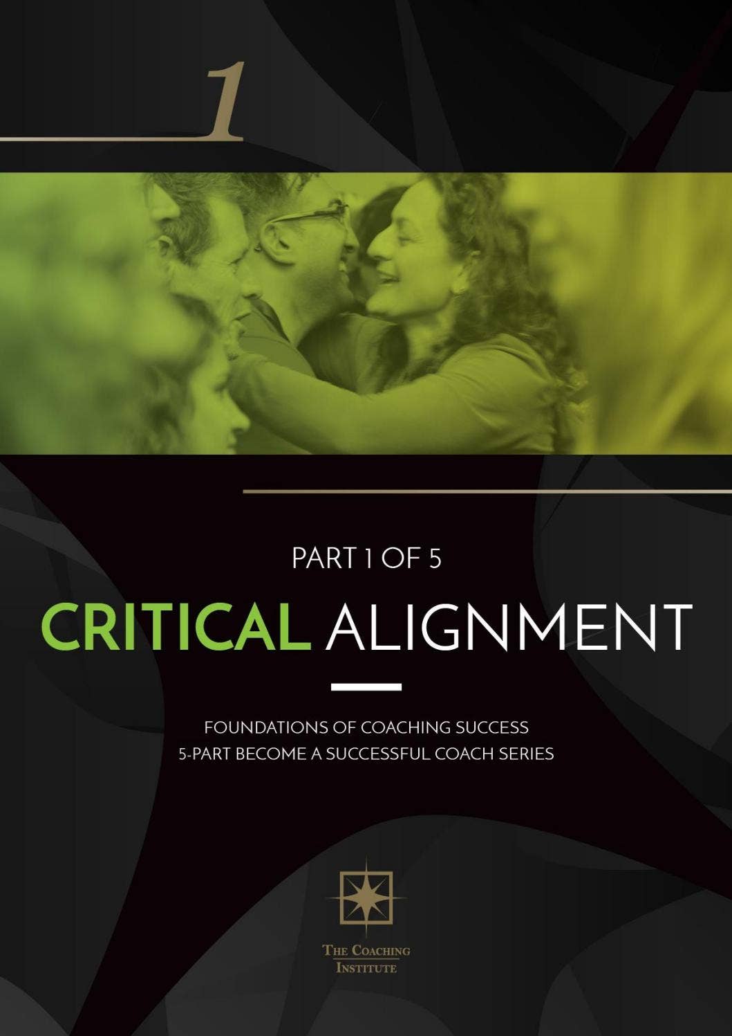 Critical Alignment Model by The Coaching Institute - Issuu
