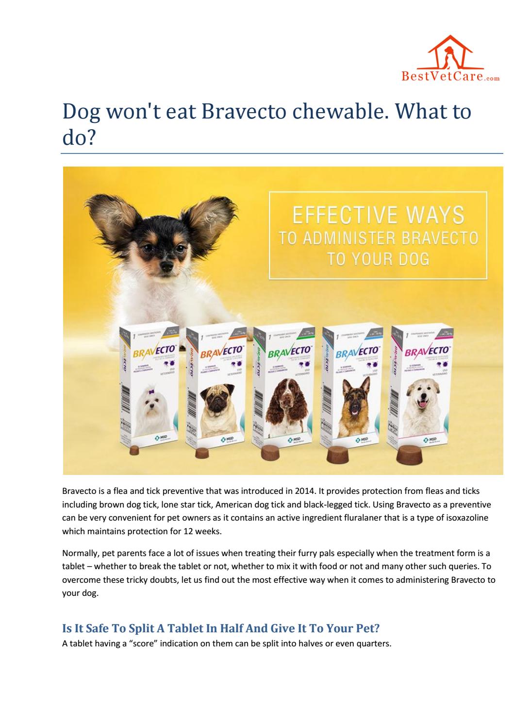 Dog won't eat bravecto chewable what to do? by BestVetCareus Issuu