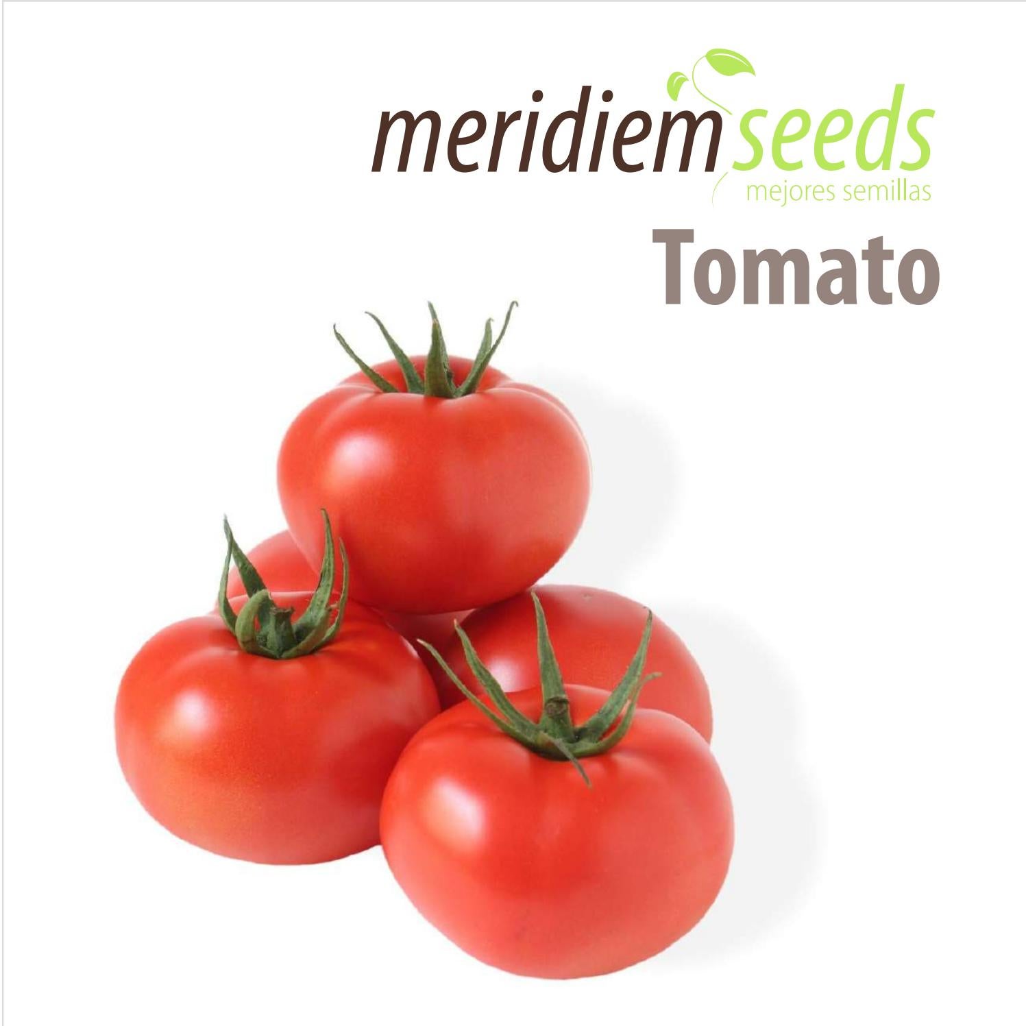 Tomato catalog by Meridiem Seeds Issuu