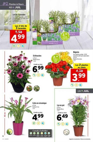 Ofertas Supermercados 家具目录 · Norvège amérique du sud 第 6 页