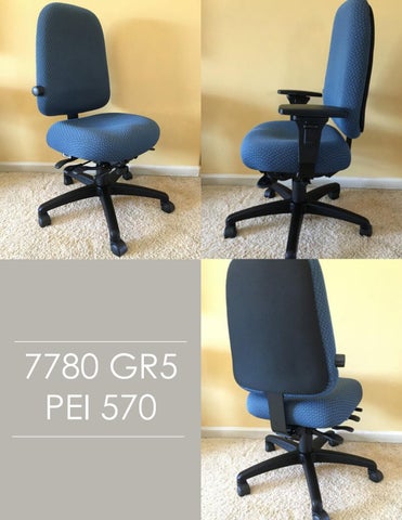 Indoff Ergonomic Chairs 家具目录 (Swanson) 第 10 页