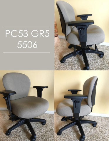 Indoff Ergonomic Chairs 家具目录 (Swanson) 第 12 页