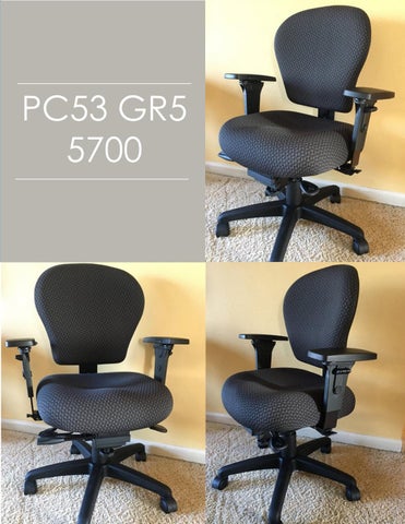Indoff Ergonomic Chairs 家具目录 (Swanson) 第 15 页