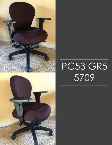 Indoff Ergonomic Chairs 家具目录 (Swanson) 第 16 页