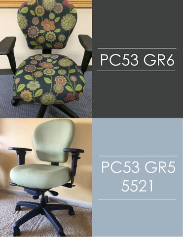 Indoff Ergonomic Chairs 家具目录 (Swanson) 第 19 页