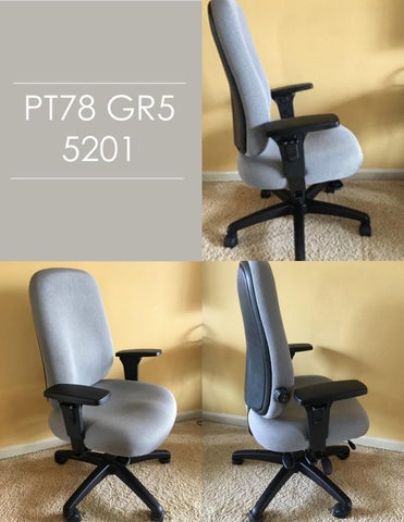 Indoff Ergonomic Chairs 家具目录 (Swanson) 第 20 页
