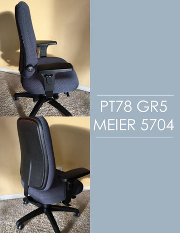 Indoff Ergonomic Chairs 家具目录 (Swanson) 第 22 页