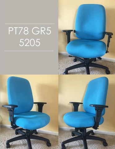 Indoff Ergonomic Chairs 家具目录 (Swanson) 第 23 页