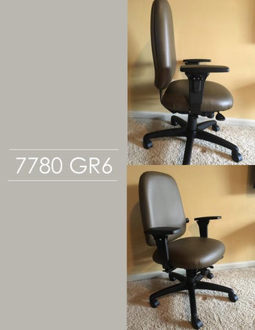 Indoff Ergonomic Chairs 家具目录 (Swanson) 第 4 页