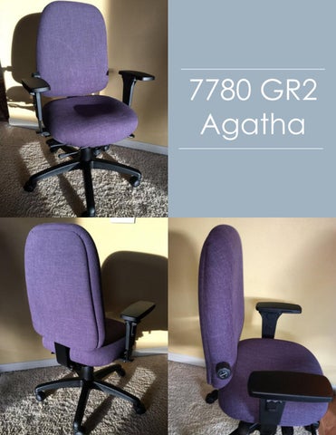 Indoff Ergonomic Chairs 家具目录 (Swanson) 第 6 页