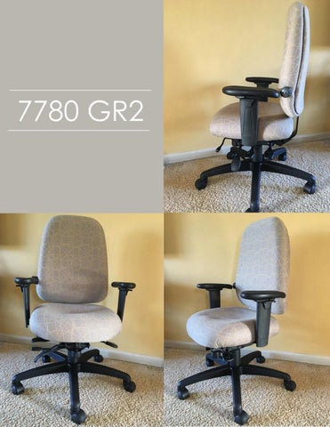 Indoff Ergonomic Chairs 家具目录 (Swanson) 第 7 页