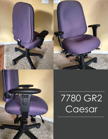 Indoff Ergonomic Chairs 家具目录 (Swanson) 第 8 页