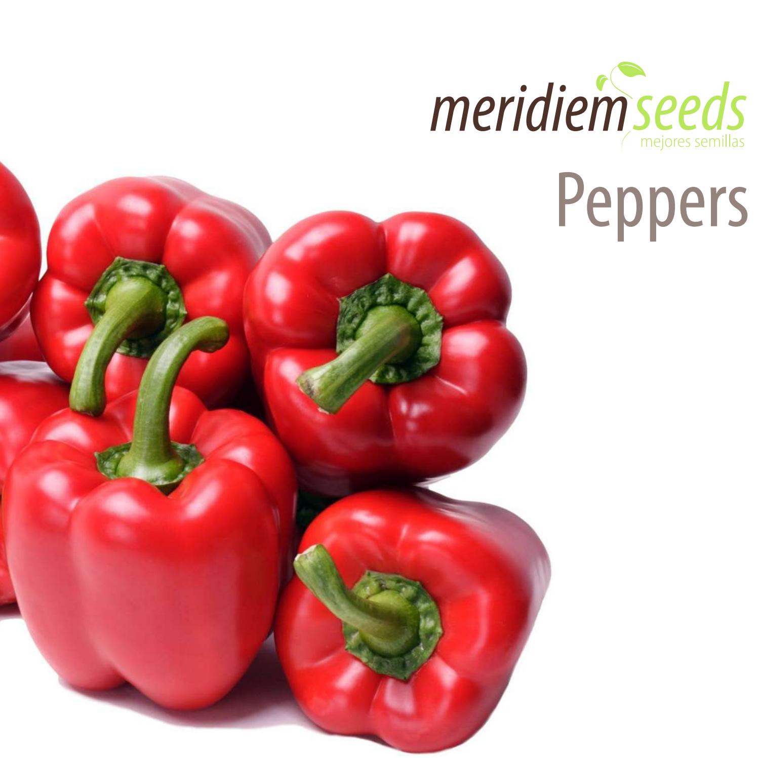 Peppers Catalog by Meridiem Seeds Issuu