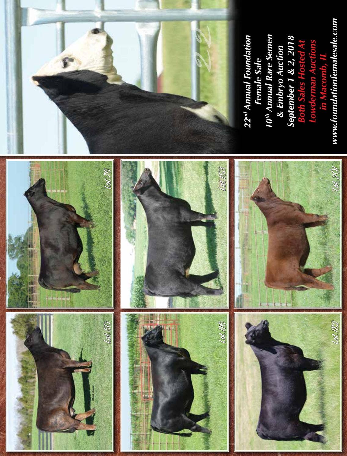 2018 Foundation Female Sale Catalog by Nick Dwyer Issuu