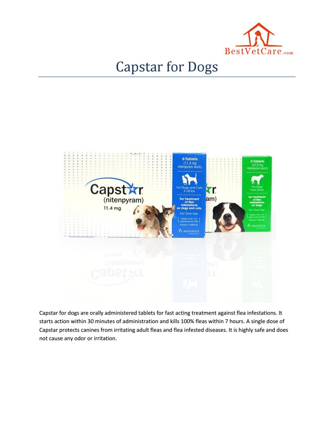 capstar dosage for large dogs