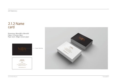 NOX Skin Expresso Brand 指南 第 10 页