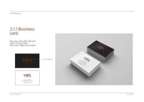 NOX Skin Expresso Brand 指南 第 9 页