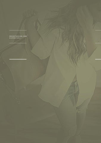 Baroni Brand 指南 第 13 页