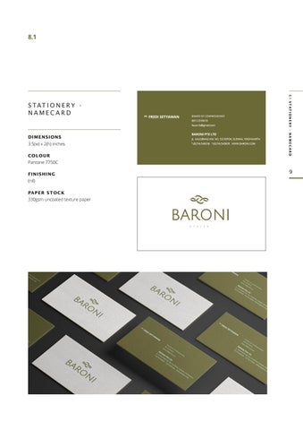 Baroni Brand 指南 第 9 页