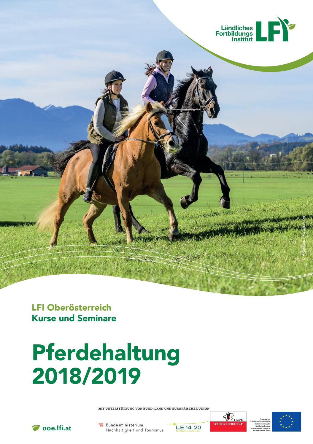 Branchenheft Pferdehaltung by Ländliches Fortbildungsinstitut - Issuu