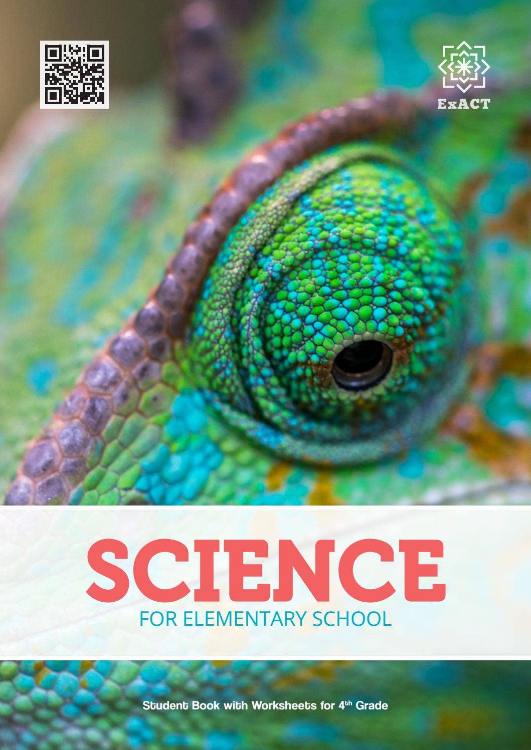 洋書 the learning science Grade 4 Spectrum Science Workbook Paperback