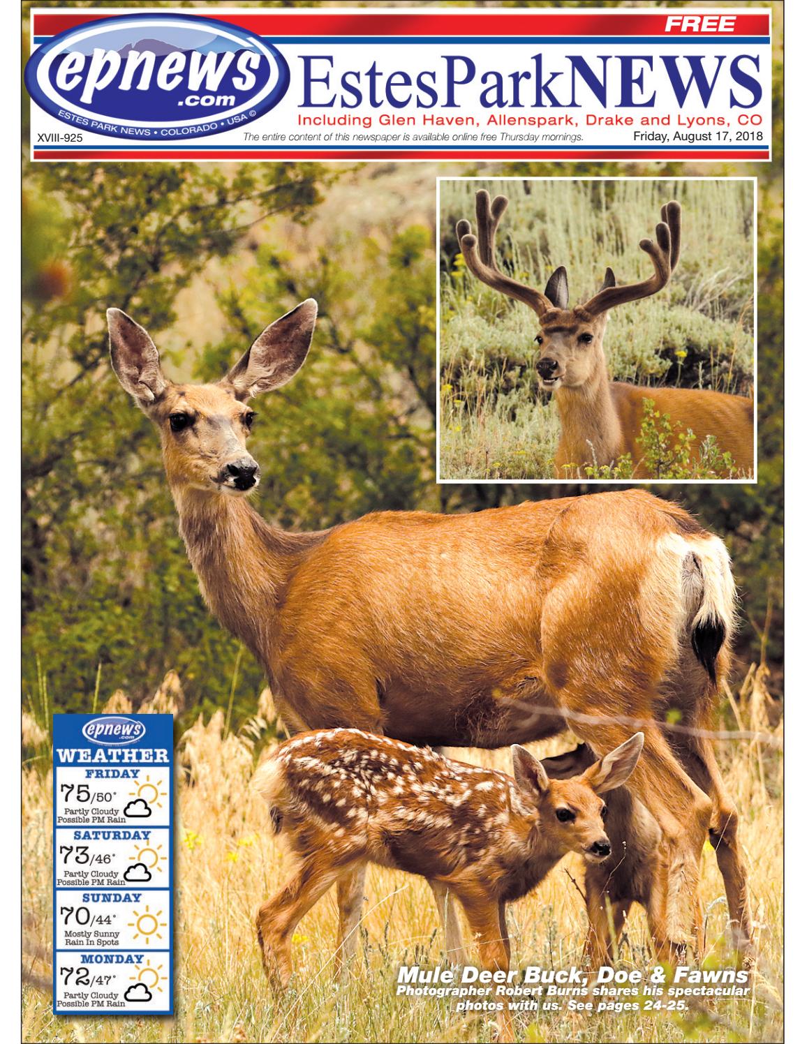 The Wonder of Newborn Fawns Part 1 (The Colorado Urban Wildlife Series Book 3)