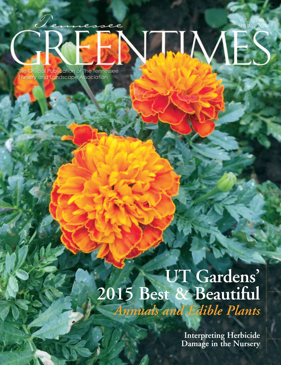 Tennessee Greentimes Spring 2016 By Leadingedgepubs Issuu Tennessee Greentimes Spring 2016 By Leadingedgepubs Issuu