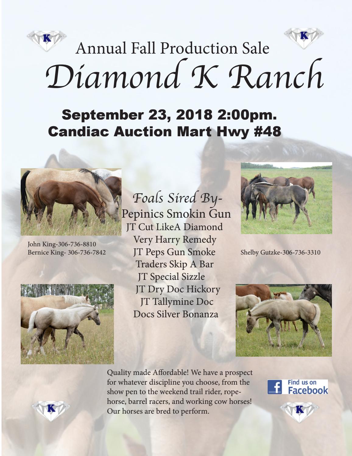 2018 Diamond K Ranch Sale Catalogue by Shelby King Issuu