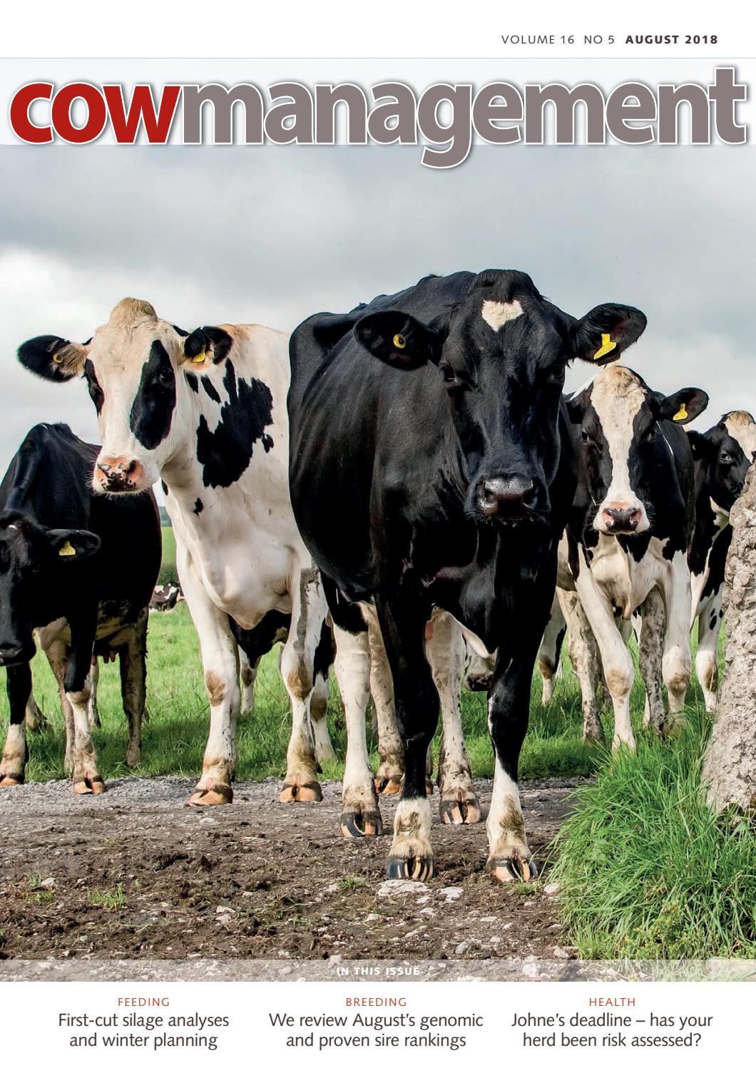 Cowmanagement August 2018 By Crv Uitgeverij Crv Publishers Issuu