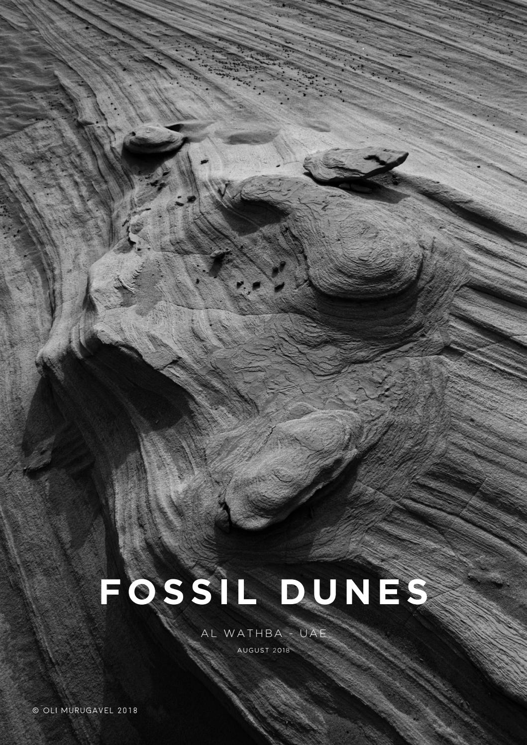 FOSSIL DUNES AL WATHBA UAE by Oli Murugavel Issuu
